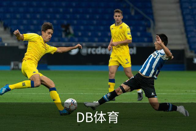 DB体育公司简介图片